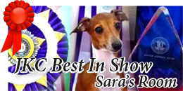 Best In Show